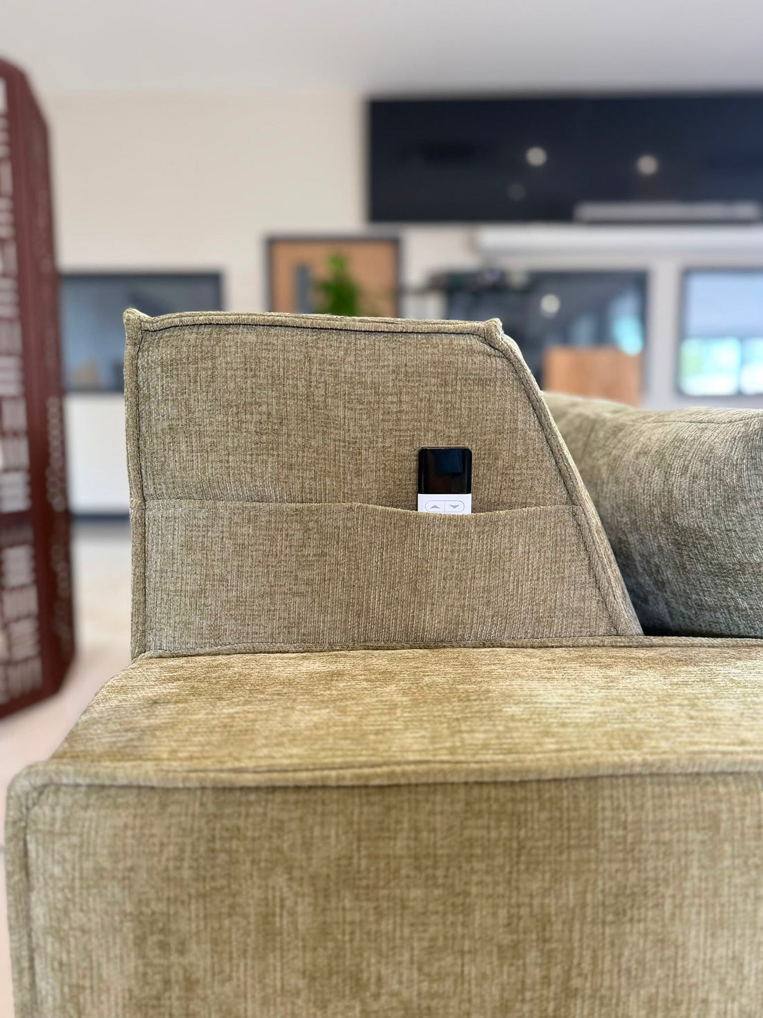 Houston Electric Sofa Bed